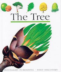 First Discovery: The Tree