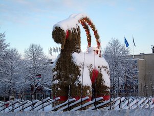 mfl gavlebocken.jpg