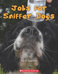 Connectors: Jobs for Sniffer Dogs x 6