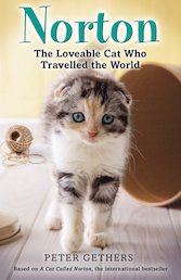 Norton: The Loveable Cat Who Travelled the World
