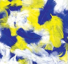 Assorted Craft Feathers