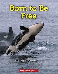 Connectors: Born to Be Free x 6