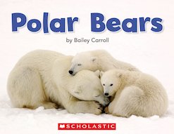 Guided Readers: Polar Bears x 6