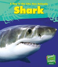 A Day in the Life: Sea Animals: Shark