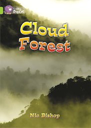 Cloud Forest