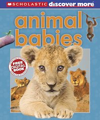 Animal Babies