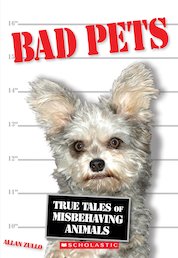 Bad Pets