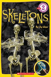 Skeletons