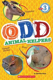 Odd Animal Helpers (Level 3)