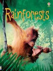 Rainforests