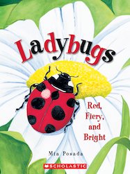Ladybugs: Red, Fiery and Bright