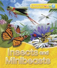 Explorers: Insects and Minibeasts