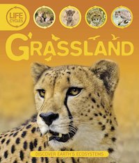 Life Cycles: Grassland