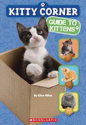 Kitty Corner: Guide to Kittens