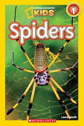 National Geographic Reader: Spiders