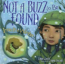 Not a Buzz to be Found: Insects in Winter