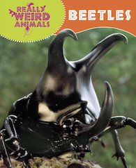 Really Weird Animals: Beetles