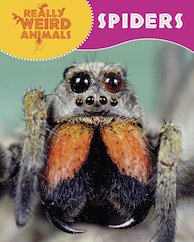 Really Weird Animals: Spiders