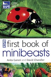 RSPB My First Book of Minibeasts