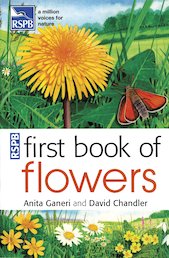 RSPB First Book of Flowers