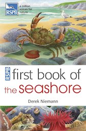 RSPB First Book of the Seashore