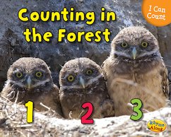Counting in the Forest