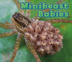 Minibeast Babies
