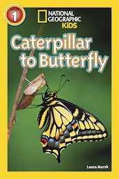 National Geographic Readers: Caterpillar to Butterfly