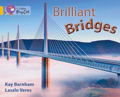Brilliant Bridges