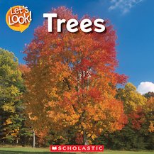 Let's Look! Trees