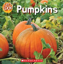 Let's Look! Pumpkins