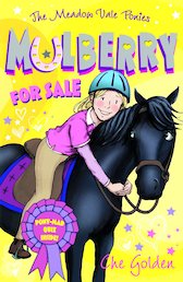 The Meadow Vale Ponies: Mulberry for Sale