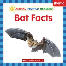 Animal Phonics Readers: Bat Facts