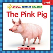 APRders3 Short I:The Pink Pig