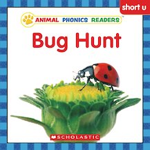 Animal Phonics Readers Pack - Scholastic Shop