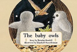 The Baby Owls (PM Storybooks) Level 4