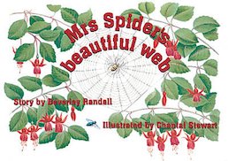 Mrs Spider's Beautiful Web (PM Storybooks) Level 13