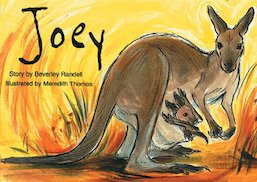 Joey (PM Storybooks) Level 14
