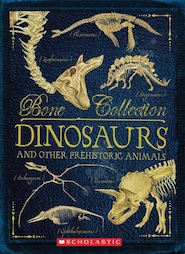 Bone Collection: Dinosaurs and Other Prehistoric Animals