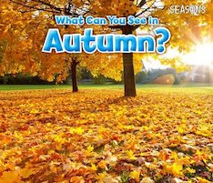 What Can You See in Autumn?
