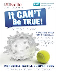 DK Braille: It Can't Be True!
