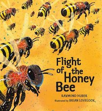 Nature Storybooks: Flight of the Honey Bee