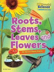 FUNdamental Science: Roots, Stems, Leaves and Flowers - All About Plant Parts