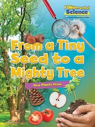 FUNdamental Science: From a Tiny Seed to a Mighty Tree - How Plants Grow