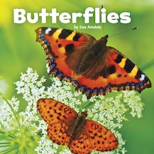 Little Creatures: Butterflies