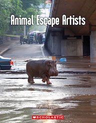 Connectors Sapphire: Animal Escape Artists x 6