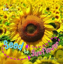 QED Lifecycles: Seed to Sunflower