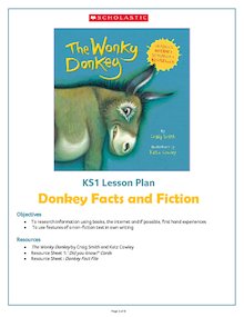 The Wonky Donkey KS1 lesson pack (Year 2)