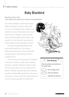 Close Reading Fiction – ‘Baby Blackbird’ text and questions for Year 4