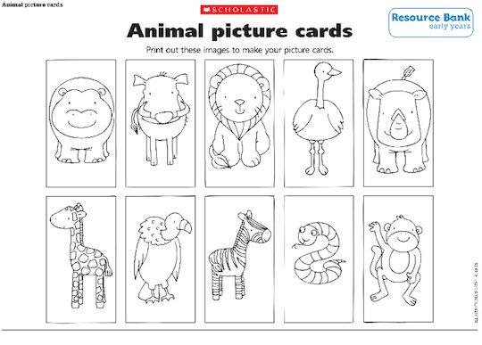Animal picture cards